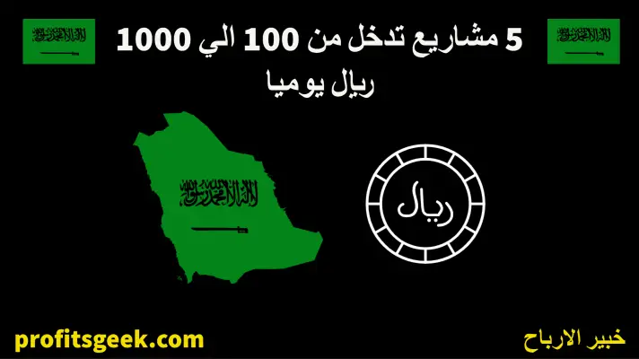 A project that brings in 100 to 1000 riyals daily
