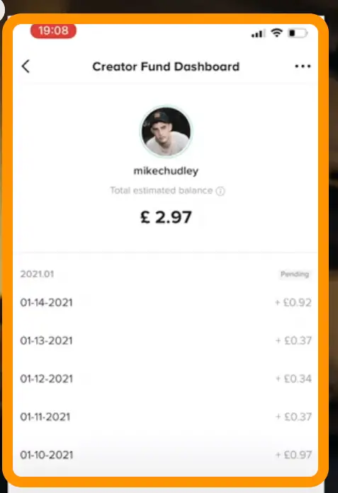 Mike Chudly's earnings from Tik Tok views
