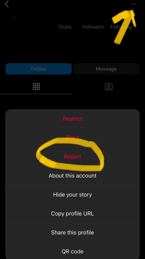 Report an Instagram account